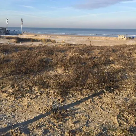 Slapen Aan Zee 아파트 *